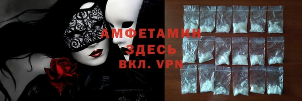 прущие грибы Аркадак