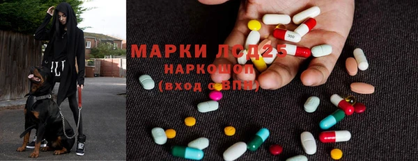 прущие грибы Аркадак