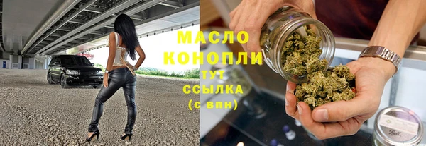 прущие грибы Аркадак