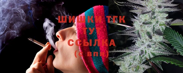 прущие грибы Аркадак
