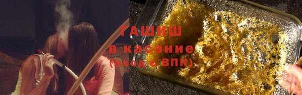 прущие грибы Аркадак