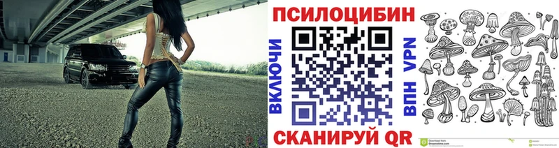 закладка  MEGA ССЫЛКА  Галлюциногенные грибы Cubensis  площадка какой сайт  Барыш 
